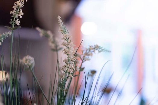 Restaurant "Grüne Stute" - Dekodetail