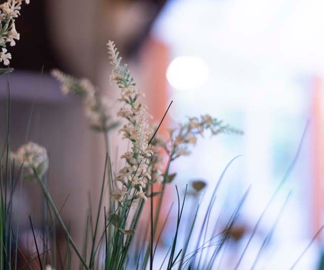 Restaurant "Grüne Stute" - Dekodetail